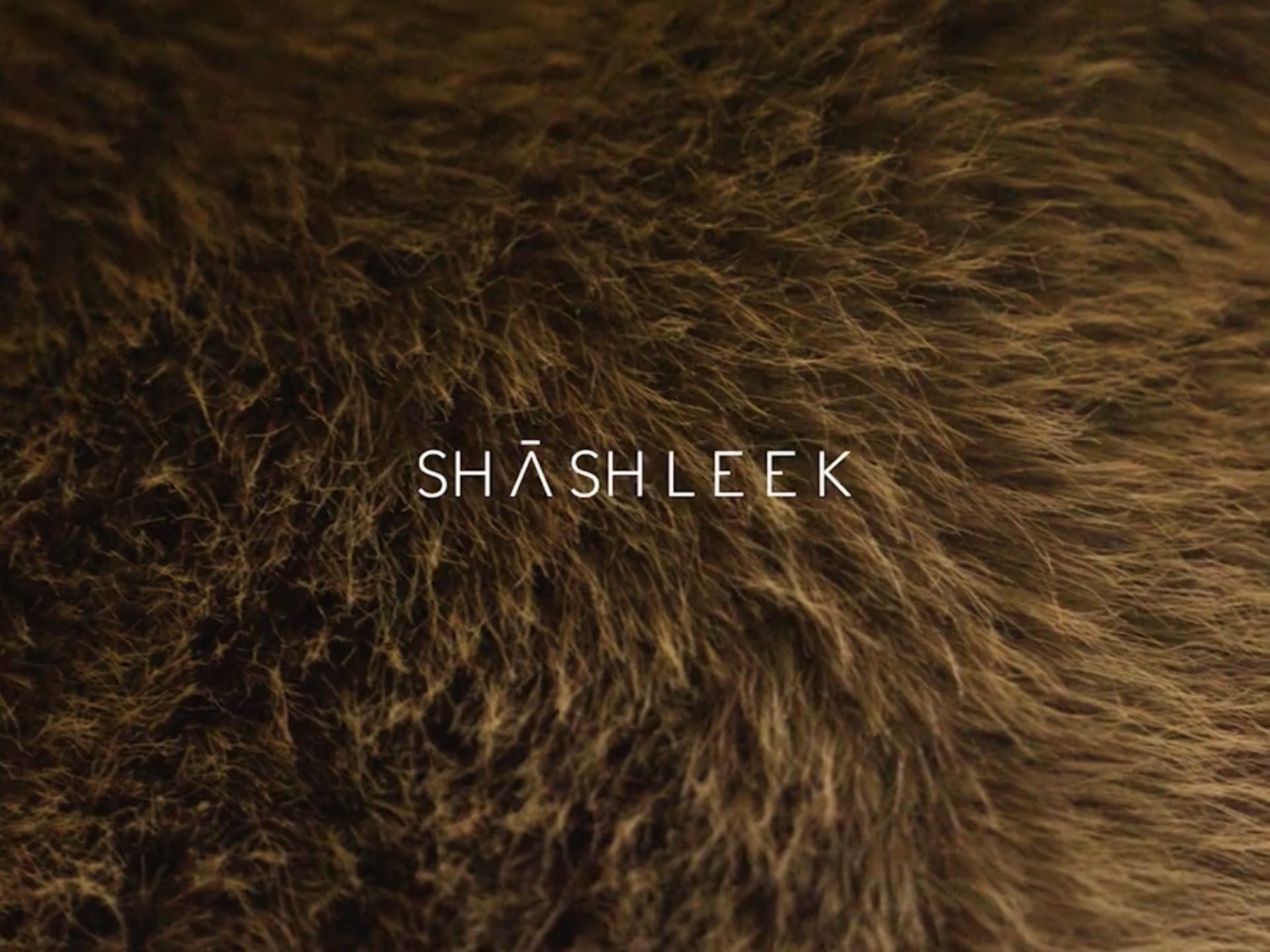 Shashleek